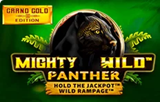 Mighty Wild Panther – Hold the Jackpot